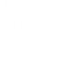 Palms Sports